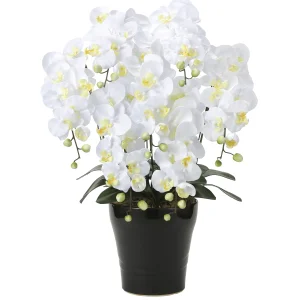 光触媒 人工観葉植物 造花 キング胡蝶蘭7本立W (高さ76cm) (451A200)