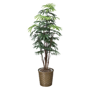 光触媒 人工観葉植物 造花 シュロチク 1.6 (高さ160cm) (500R420)