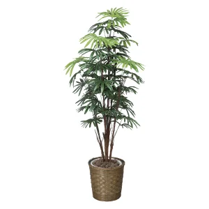 光触媒 人工観葉植物 造花 シュロチク 1.6 (高さ160cm) (500R420)