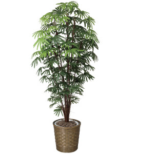 光触媒 人工観葉植物 造花 シュロチク1.8 (高さ180cm) (501R680)