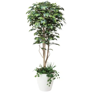 光触媒 人工観葉植物 造花 フィカスベンジャミン1.8植栽付  (高さ180cm) (508F500)