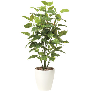 光触媒 人工観葉植物 造花 フレッシュポトス1.0 (高さ100cm) (513A150)