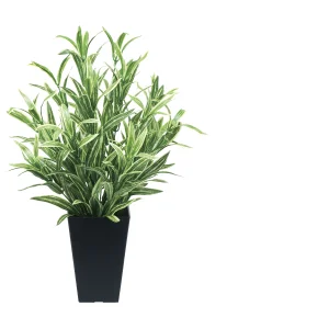 光触媒 人工観葉植物 造花 ツートンスパイダー (高さ50cm) (519A70)