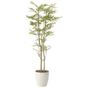 光触媒 人工観葉植物 造花 ゴールデンリーフ 1.6 (高さ160cm) (605P350)