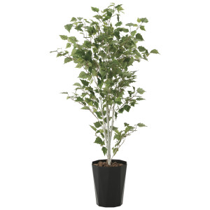 光触媒 人工観葉植物 造花 白樺1.4 (高さ140cm) (607R300)