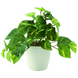 光触媒 人工観葉植物 造花 フレッシュポトスS (高さ25cm) (642A35)
