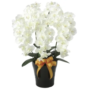 光触媒 人工観葉植物 造花 プレミアム胡蝶蘭5本立W (高さ75cm) (651K200)