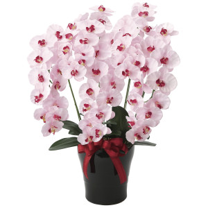 光触媒 人工観葉植物 造花 プレミアム胡蝶蘭5本立P (高さ75cm) (652K200)