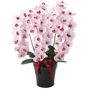 光触媒 人工観葉植物 造花 プレミアム胡蝶蘭5本立P (高さ75cm) (652K200)