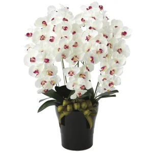 光触媒 人工観葉植物 造花 プレミアム胡蝶蘭5本立W/AB (高さ75cm) (653K200)