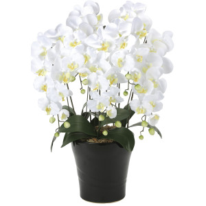 光触媒 人工観葉植物 造花 クイーン胡蝶蘭5本立W (高さ74cm) (654A150)