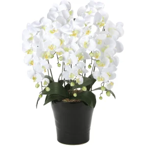 光触媒 人工観葉植物 造花 クイーン胡蝶蘭5本立W (高さ74cm) (654A150)