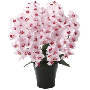 光触媒 人工観葉植物 造花 プレミアム胡蝶蘭7本立P (高さ75cm) (656A250)