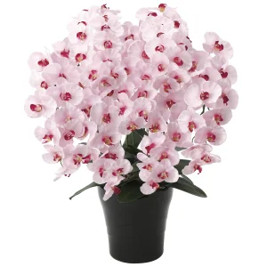 光触媒 人工観葉植物 造花 プレミアム胡蝶蘭7本立P (高さ75cm) (656A250)