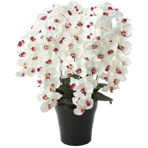 光触媒 人工観葉植物 造花 プレミアム胡蝶蘭7本立W/AB (高さ75cm) (657A250)