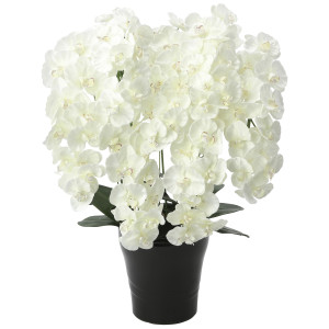 光触媒 人工観葉植物 造花 プレミアム胡蝶蘭7本立W (高さ75cm) (658A250)