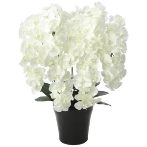 光触媒 人工観葉植物 造花 プレミアム胡蝶蘭7本立W (高さ75cm) (658A250)