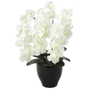 光触媒 人工観葉植物 造花 プレミアム胡蝶蘭W (高さ68cm) (659K135)