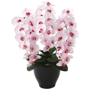 光触媒 人工観葉植物 造花 プレミアム胡蝶蘭P (高さ68cm) (660K135)