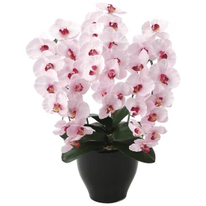 光触媒 人工観葉植物 造花 プレミアム胡蝶蘭P (高さ68cm) (660K135)