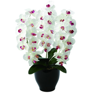 光触媒 人工観葉植物 造花 プレミアム胡蝶蘭W/AB (高さ68cm) (661K135)