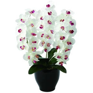光触媒 人工観葉植物 造花 プレミアム胡蝶蘭W/AB (高さ68cm) (661K135)