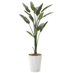 光触媒 人工観葉植物 造花 ストレチア1.6 (高さ160cm) (729R300)