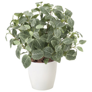 光触媒 人工観葉植物 造花 フィットニアM(フロック加工) (高さ48cm) (832P100)