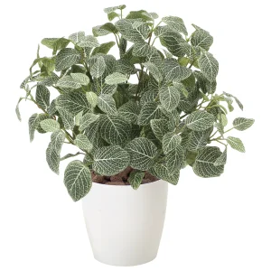 光触媒 人工観葉植物 造花 フィットニアM(フロック加工) (高さ48cm) (832P100)