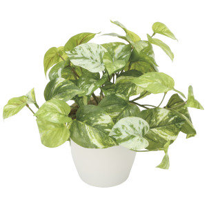 光触媒 人工観葉植物 造花 マ―ブルポトス (高さ25cm) (836G35)