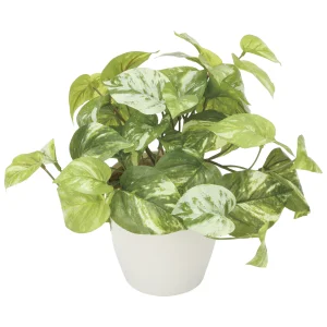 光触媒 人工観葉植物 造花 マ―ブルポトス (高さ25cm) (836G35)