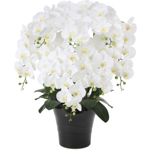 光触媒 人工観葉植物 造花 フレッシュ胡蝶蘭 8本立W (高さ75cm) (877P330)