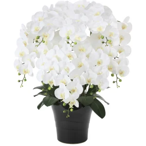 光触媒 人工観葉植物 造花 フレッシュ胡蝶蘭 8本立W (高さ75cm) (877P330)