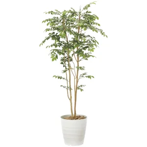 光触媒 人工観葉植物 造花 マウンテンアッシュ1.8 (高さ180cm) (900R480)