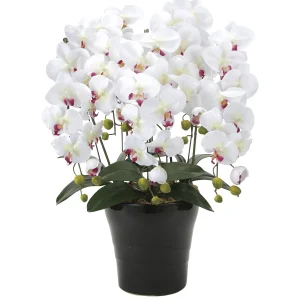 光触媒 人工観葉植物 造花 クイーン胡蝶蘭5本立W/AB (高さ74cm) (916A150)