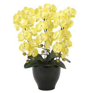 光触媒 人工観葉植物 造花 胡蝶蘭セリースY (高さ66cm)
