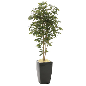 光触媒 人工観葉植物 造花 アーバンベンジャミン1.8 (高さ180cm)