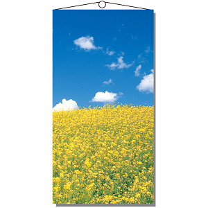 【2025年春商品】タペストリー NEW菜の花 (No177-03_07)