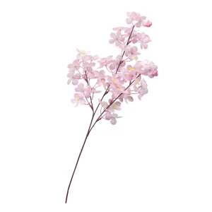 【2026年春】中桜ブランチ 3本立 (No181-18)