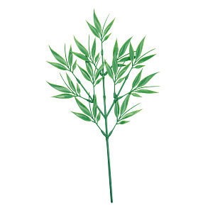 【2025年夏】ミニ笹 (No178-14_04)