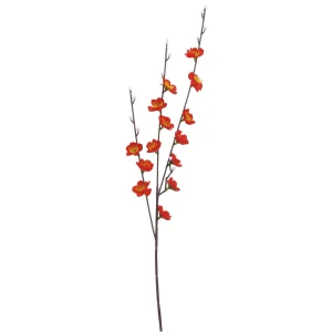 【2024年商品】梅中枝(赤)L57cm (No.005316)