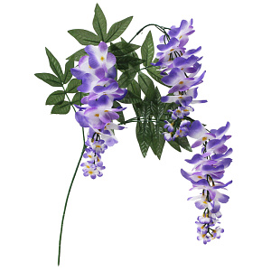 【2025年夏】藤スプレイ3輪パープル (No178-11_10)