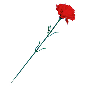 【2025年春商品】スプレイカーネーション (No177-24_08)