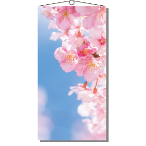【2025年春商品】タペストリー(防炎)桜花びら (No177-03_02)