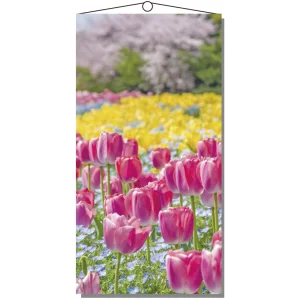【2026年春】タペストリー(防炎)ピンクチューリップ (No181-3)