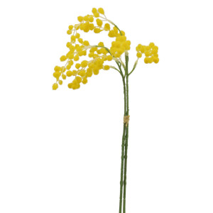 【2026年春】ミモザの束 (No181-13)