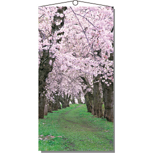 【2025年春商品】タペストリー 桜新緑 (No177-03_06)