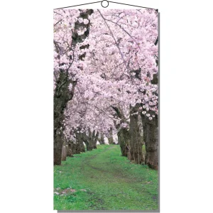 【2026年春】タペストリー 桜新緑 (No181-3)