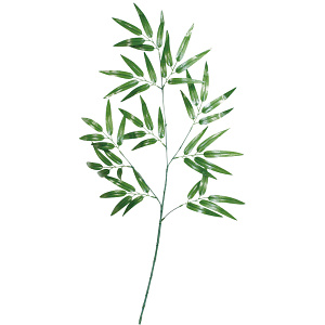 【2025年夏】バンブースプレイ (No178-14_02)