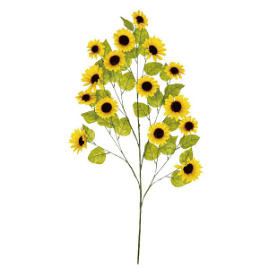 【2025年夏】大枝サンフラワー (No178-19_01)